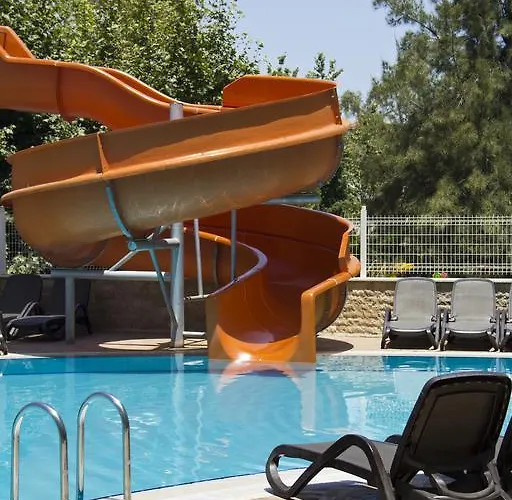 (adults Only) 시데